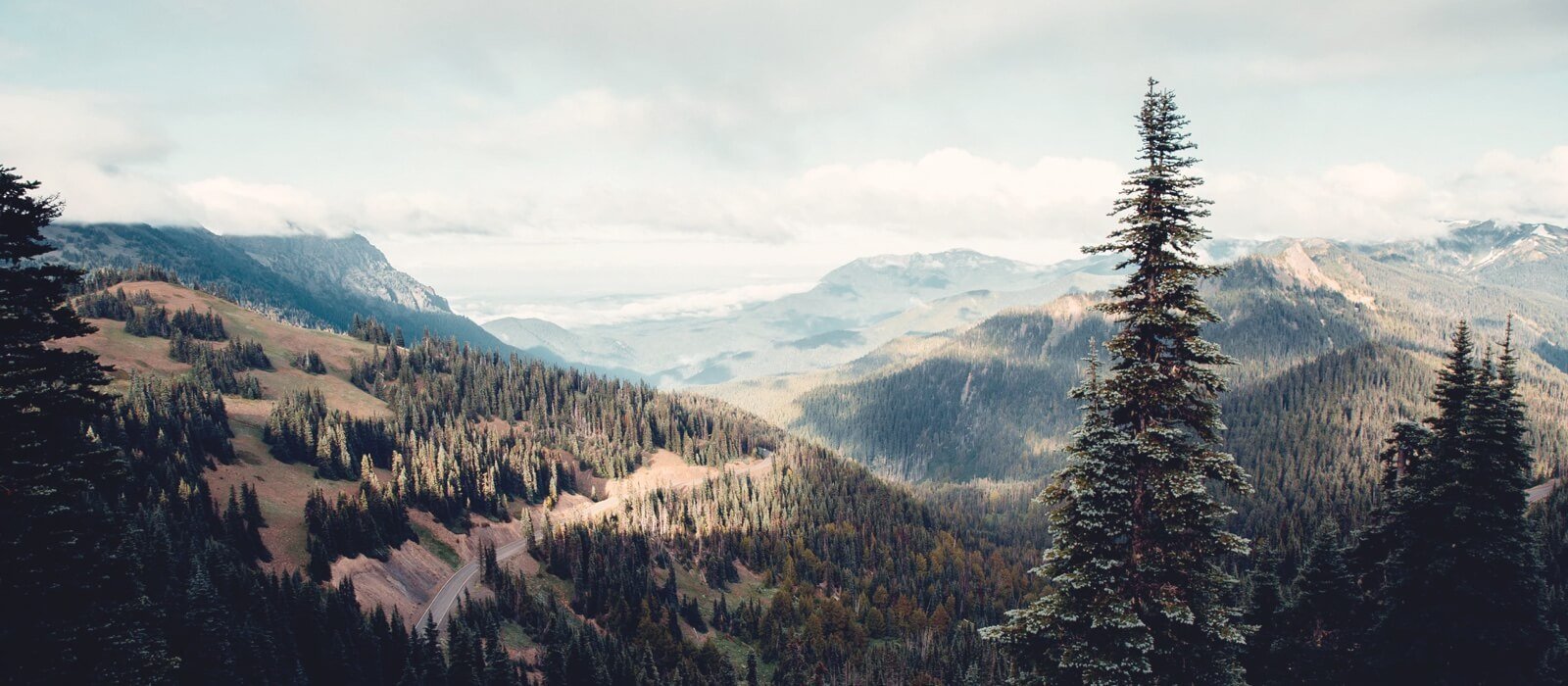 slider image 1 3