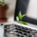 Best Website Design for Small Business