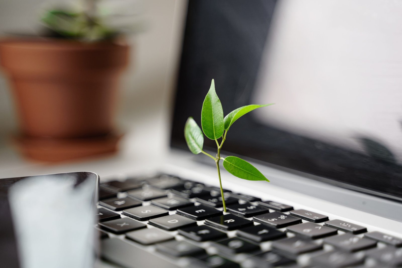 Best Website Design for Small Business (With Real Examples)